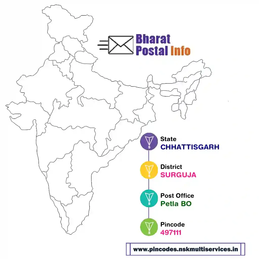 chhattisgarh-surguja-petla bo-497111